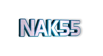 NAK55模具钢