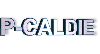 P-CALDIE模具钢